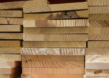 Quel essence de bois pour meuble ?
