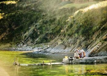 Quel est la meilleure marque de coloration ?