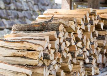 Quel est la meilleure qualité de bois ?