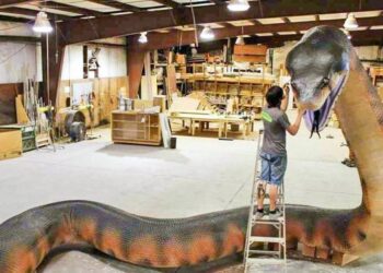 Quel est l'animal le plus grand au monde ?