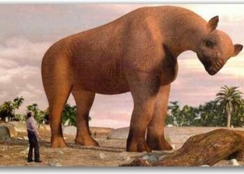 Quel est l'animal le plus grand de tous les temps ?