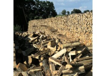 Quel est le bois le plus blanc ?