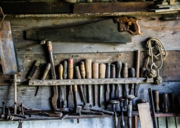 Quel est le bois le plus solide ?