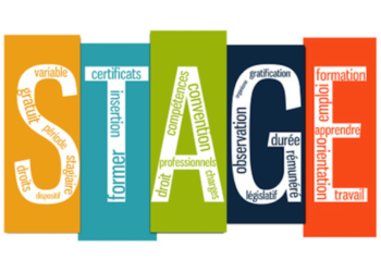 Quel est le but d'un stage d'observation ?