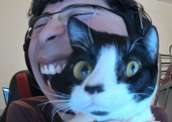 Quel est le chat le plus moche du monde ?