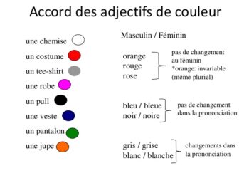 Quel est le féminin de couleur ?