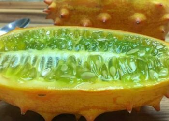 Quel est le fruit le plus connu au monde ?