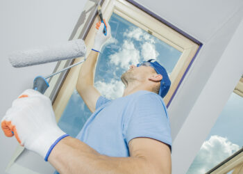 Quel est le meilleur Flash studio ?