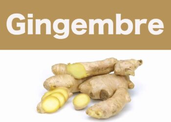 Quel est le meilleur anti-inflammatoire naturel ?