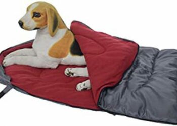 Quel est le meilleur couchage pour un chien ?