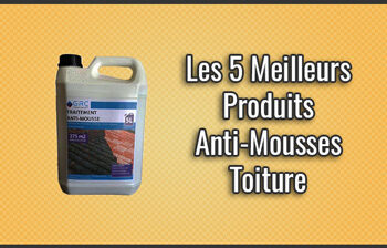 Quel est le meilleur produit anti acarien ?