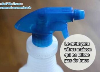Quel est le meilleur produit pour nettoyer les vitres ?