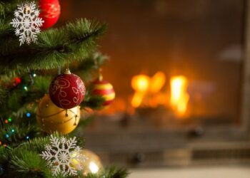 Quel est le meilleur sapin de Noël ?