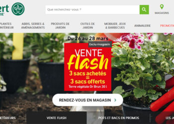 Quel est le meilleur site de vente de plantes en ligne ?