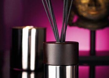 Quel est le meilleur type de diffuseur ?