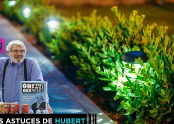 Quel est le meilleur type d'éclairage ?