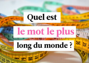 Quel est le mot le plus long en 2022 ?