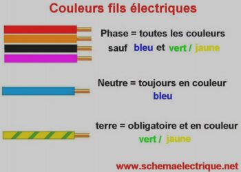 Quel est le neutre ?