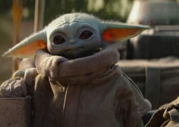 Quel est le nom du bébé de la pieuvre ?