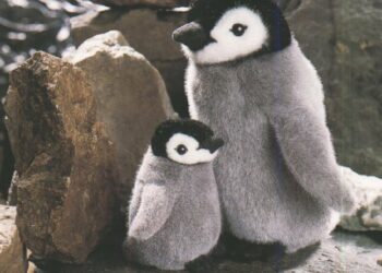 Quel est le nom du bébé pingouin ?