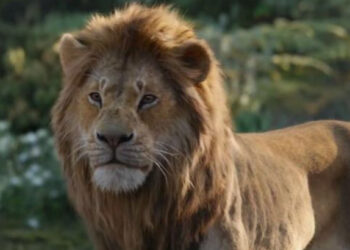 Quel est le nom scientifique du globe ?