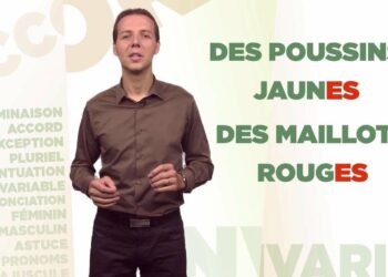 Quel est le pluriel de Fish ?