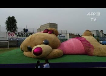 Quel est le plus gros doudou au monde ?