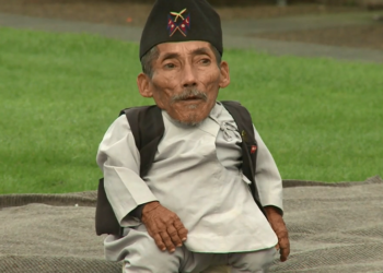 Quel est le plus petit puzzle du monde ?