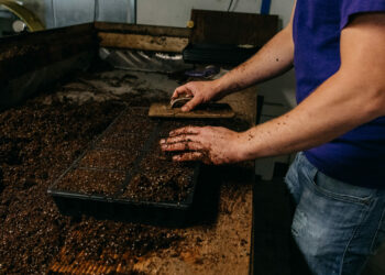 Quel est le poids de 50 litres de terreau ?