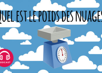 Quel est le poids d'une tasse ?