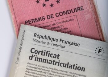 Quel est le prix du cheval pour une carte grise ?