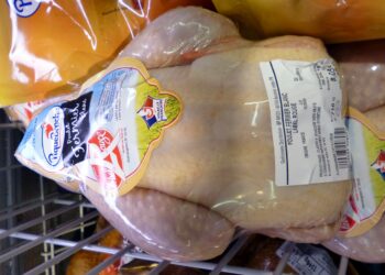 Quel est le prix du poulpe ?