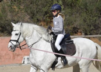 Quel est le prix d'un cheval fiscal ?