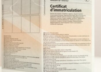 Quel est le prix d'une carte grise pour une voiture de 5 chevaux ?