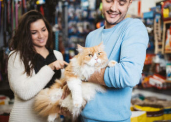 Quel est le salaire d'un vendeur en animalerie ?