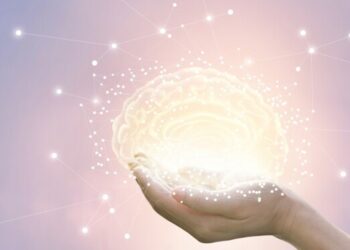 Quel est le signe le plus bête ?