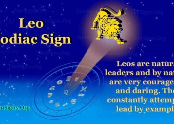 Quel est le signe solaire du lion ?