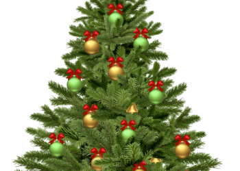 Quel est le symbole du sapin de Noël ?