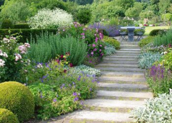 Quel est le synonyme de jardin ?