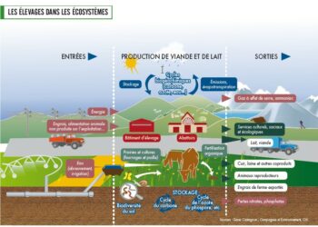 Quel est l'effet produit dans un texte ?