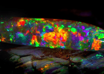 Quel est l'opale la plus chère ?