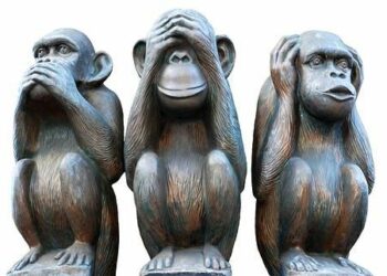Quel est l'ordre des singes de la sagesse ?