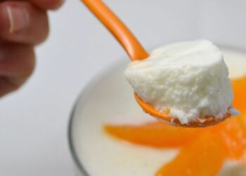 Quel fromage après un repas ?