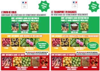 Quel fruit commence par un S ?