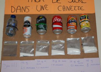 Quel goût à la canette ?