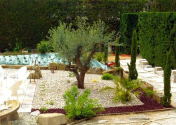 Quel jeu mettre dans un jardin ?