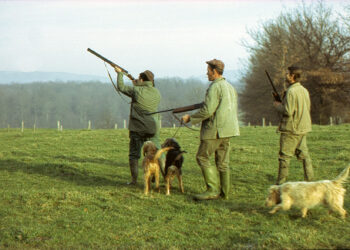 Quel jour de la semaine la chasse est interdite ?