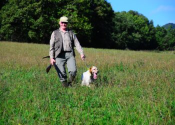 Quel jour la chasse est autorisée ?