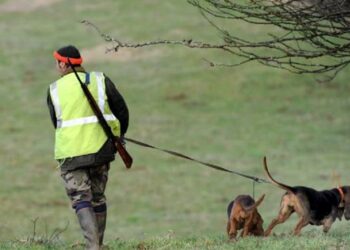 Quel jour la chasse est ouverte ?
