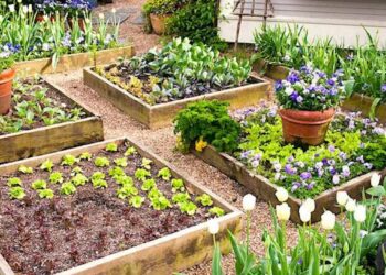 Quel légume mettre dans le jardin sans entretien ?